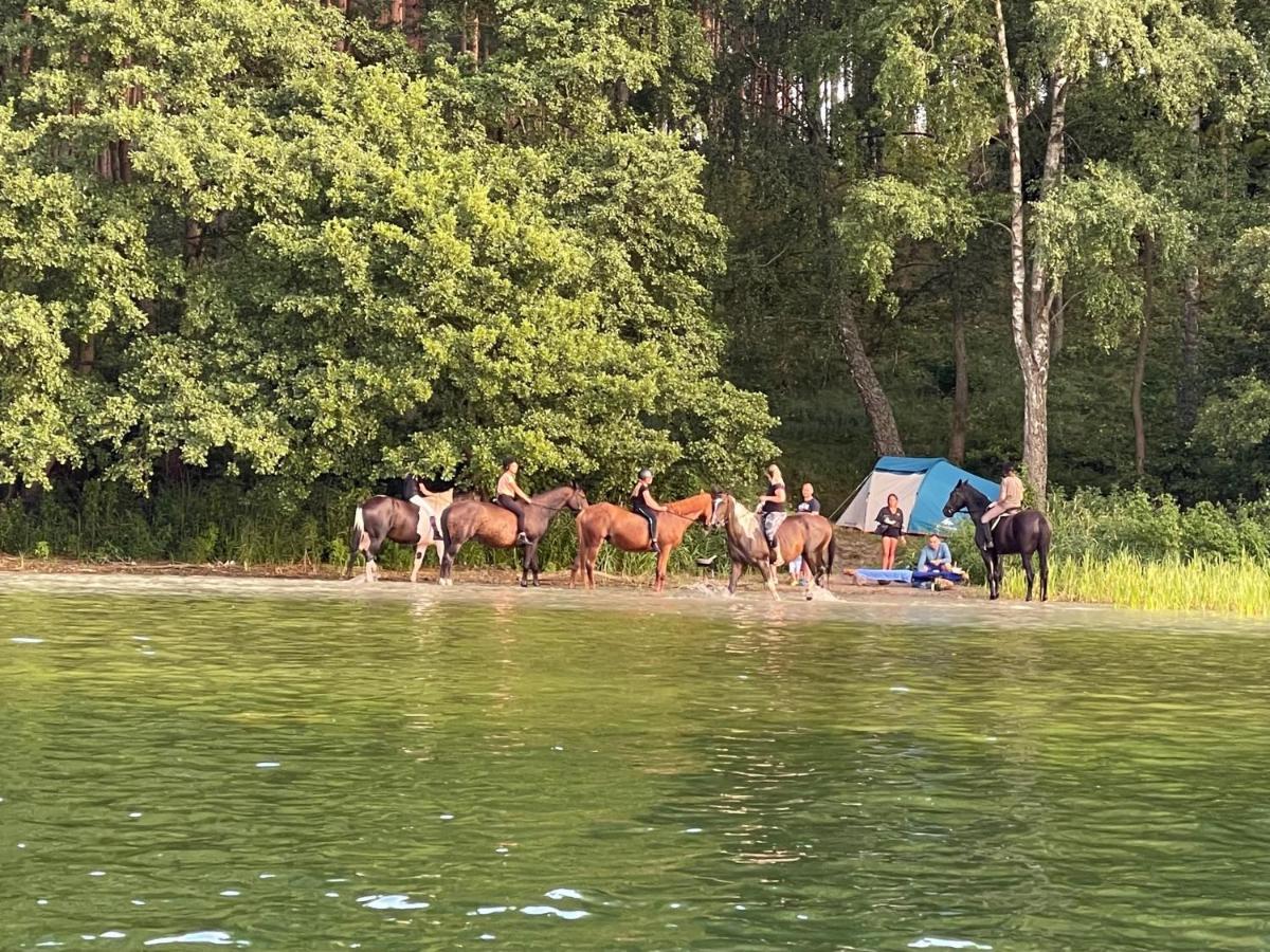 Schadzka W Dwunastce Z Widokiem Na Jezioro Borsk Kültér fotó
