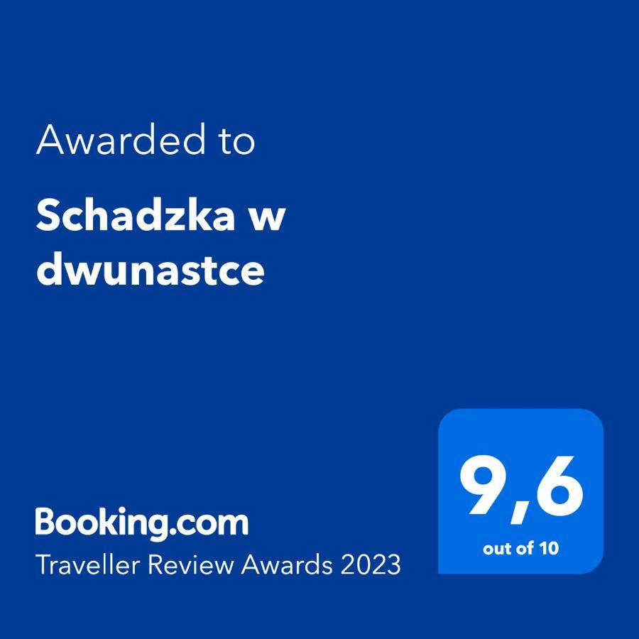 Schadzka W Dwunastce Z Widokiem Na Jezioro Borsk Kültér fotó
